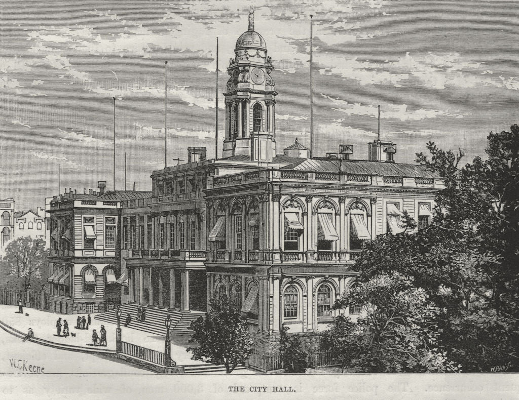 NEW YORK CITY. The City Hall 1882 old antique vintage print picture